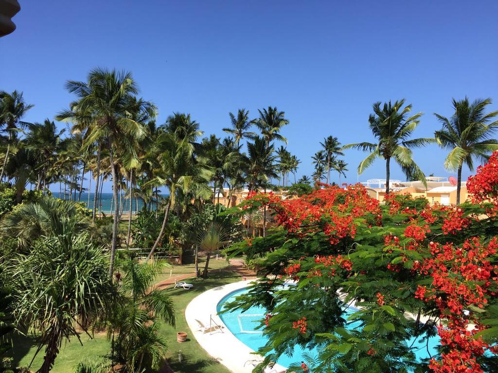 Don Cesar Aparthotel Las Terrenas Buitenkant foto
